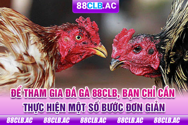 Để tham gia đá gà 88CLB, bạn chỉ cần thực hiện một số bước đơn giản